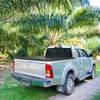 AUTOSAVER88 Soft Roll Up Truck Bed Tonneau Cover Compatible with