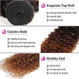 Peenoll Human Hair Bundles 8 10 12 Inch Omber Chocolate Brown T1B/4/30 Jerry Curly Bundles Human Hair 100% Unprocessed Soft Sewn In Hair for Black Women with Double Weft