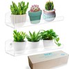 2-Pack 12 Inch Window Plant Shelves - Acrylic Suction Cup