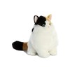 Aurora® Charming Fat Cats™ Munchy Calico™ Stuffed Animal - Cuddly