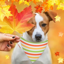 Shinylin 48 Pieces Fall Dog Bandanas Bulk Colorful Autumn Bandanas for Dogs with Polka Dot Stripe Wave Patterns for Pets Doggies Fall Autumn Thanksgiving Party Costume Accessories