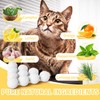 nertzop Cat Deterrent Outdoor, 10 Pack Natural Cat Deterrent Ball
