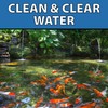 CrystalClear BioClarifier Small Pond & Water Garden Clarifier & Cleaner,