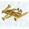 M4 x 30mm Door Hinge Brass Screws Replacement (Pack of
