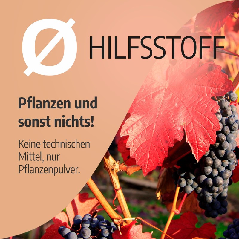 Bio Rote Weinlaub - 250 mg - 200 Kapseln