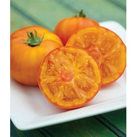 Sunshine Master Orange Beefsteak Tomato Seeds | NON-GMO | Heirloom | Fresh Vegetable Seeds - 30 Seeds