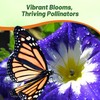 Outsidepride Ensign Royal Morning Glory Seeds - 1000 Pcs. Annual,