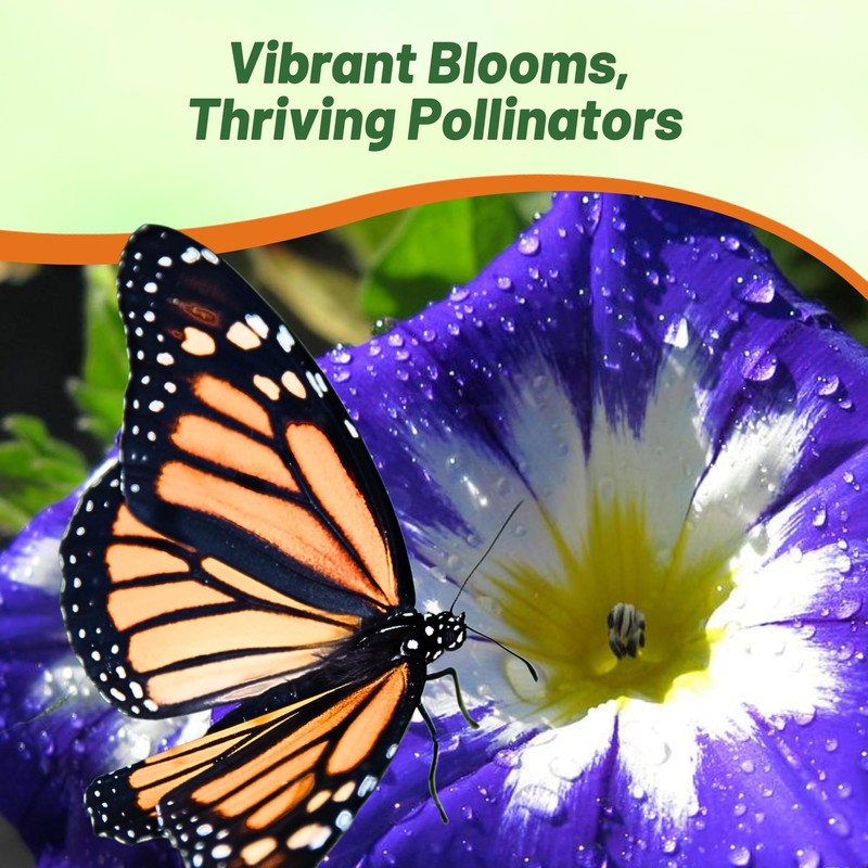 Outsidepride Ensign Royal Morning Glory Seeds - 1000 Pcs. Annual,