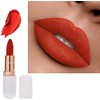AQUAPURITY PHOERA ABSOLUTE VELVET MATTE LIPSTICK LONG LASTING WATERPROOF PIGMENT