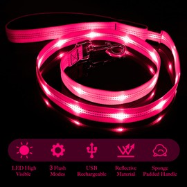 Illumifun LED Dog Leash - USB Rechargeable Light Up Dog Leash, Nylon Glowing Dog Lead for Your Dogs Walking (PinkⅡ)