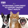 PRN Pharmacal CranMate Cranberry Supplement - Chewable Cranberry Extract Nutritional