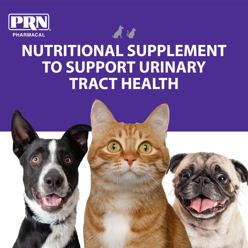 PRN Pharmacal CranMate Cranberry Supplement - Chewable Cranberry Extract Nutritional