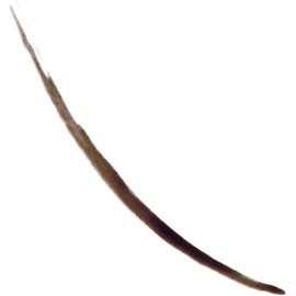 Colorstay™ Semi Permanent Brow Ink Soft Brown