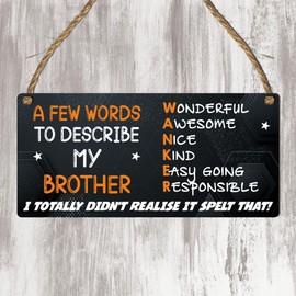 Hilarious Brother Gift Plaque – "A Few Words to Describe My Brother" – Funny Sign with Bold Design, Perfect for Brother’s Birthday, Gag Gift, or Any Celebration – Add Laughter to His Man Cave Decor