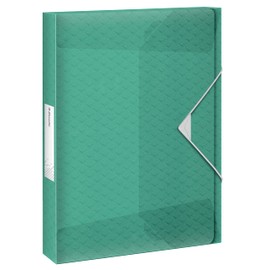 Esselte A4 Box File, Holds 200 Sheets, 25mm Spine, Translucent Document Storage Organiser Folder, Home/Office, Embossed Pattern, Colour'Breeze Range, Green, 626260