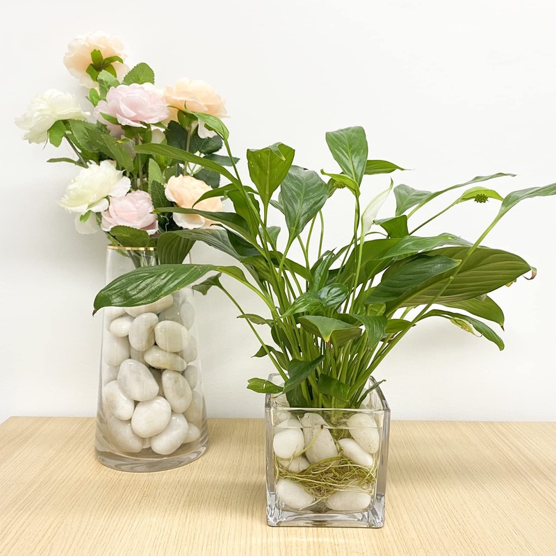 FANTIAN 20lb Decorative White Pebbles for Plants - 1.2-2" Natural