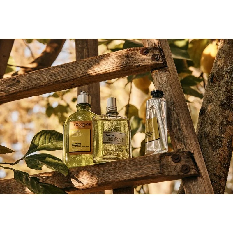 Gel De Ducha Cédrat Men 250ml, L'occitane