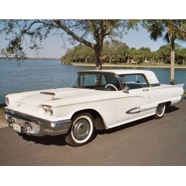 1959 FORD THUNDERBIRD Photo  (193-R)