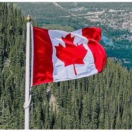 Canada flag 6 X3ft, canadian flag 72 X 36Inch, Canada flag 180 X 90cm made from 600D oxford nylon, and 3 brass grommets Canada flag Large size canadian flag banner. Vivid colors, long lasting flags.