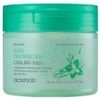 Skinfood Basil Tea Tree Scinic Cooling Pads, 70 pieces, 180g, 1 piece / 스킨푸드 바질 티트리시닉 쿨링 패드, 70개입, 180g, 1개