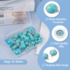 Spritewelry 70Pcs Turquoise Pendants Connector Charms Teardrop Round Links Natural