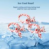 Cooling Neck Wrap – Ice Crystal Cooling Towel for Fast