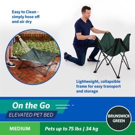 Coolaroo On The Go Cooling Elevated Dog Bed, Portable for Travel & Camping, Collapsible for Storage, Medium, Brunswick Green