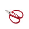 R&R SHOP - 12 cm Precision Steel Scissors, with Wide