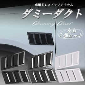 HTharros Dummy Duct Hood Fender Side Air Intake Car General Purpose Sameera Dress Up Aero Parts Black Set of 2