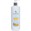 Schupp Arnica Massage Lotion 500 ml