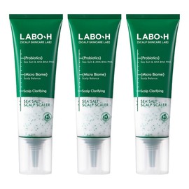 LaboH Scalp Strengthening Clinic Scalp Scaler, 208g, 3 pieces / 라보에이치 두피강화 클리닉 스칼프 스케일러, 208g, 3개