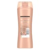 Suave Professionals Shine Shampoo Moroccan Infusion 12.6 oz (Pack of