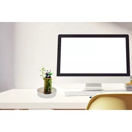 Tree CZ Grain Lucky Bamboo Office Desk Planter and Panda - Thick Trunk Brazil Willow