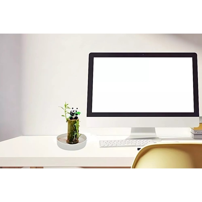 Tree CZ Grain Lucky Bamboo Office Desk Planter and Panda