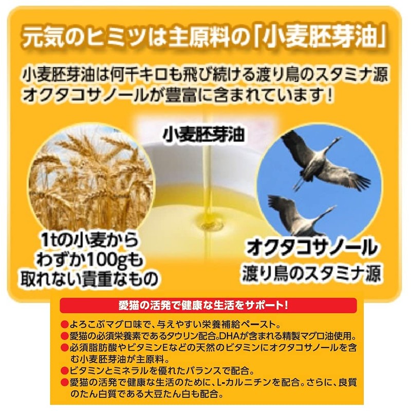 Earth, Pet Cat sutamino-ru Pill Care G