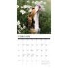 Willow Creek Press, Just Beagle Puppies 2026 Wall Calendar, 12''