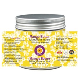 dève herbes Mango Butter (Mangifera indica) Natural Therapeutic Grade 50gm (1.76 oz)