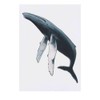 'Humpback Whale' Temporary Tattoo - Water Resistant, Skin-Safe, Non-Toxic Transfer