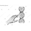 Genetic analysis and research low poly wireframe illustration. Polygonal DNA