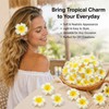 Hair Accessories Set - Plumeria Hair Clip - Leaf Clip