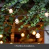Brightech Ambience PRO Replacement LED Light Bulbs, Plastic 1 Watt