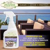 STAR BRITE Outdoor Collection Furniture Cleaner Spray - All-Surface Cleaner