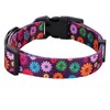 Rhea Rose Girl Dog Collars Fall Daisy Pattern, Colorful Flowers