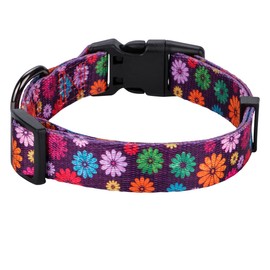 Rhea Rose Girl Dog Collars Fall Daisy Pattern, Colorful Flowers Print, Female Collar, Dark Purple, Medium