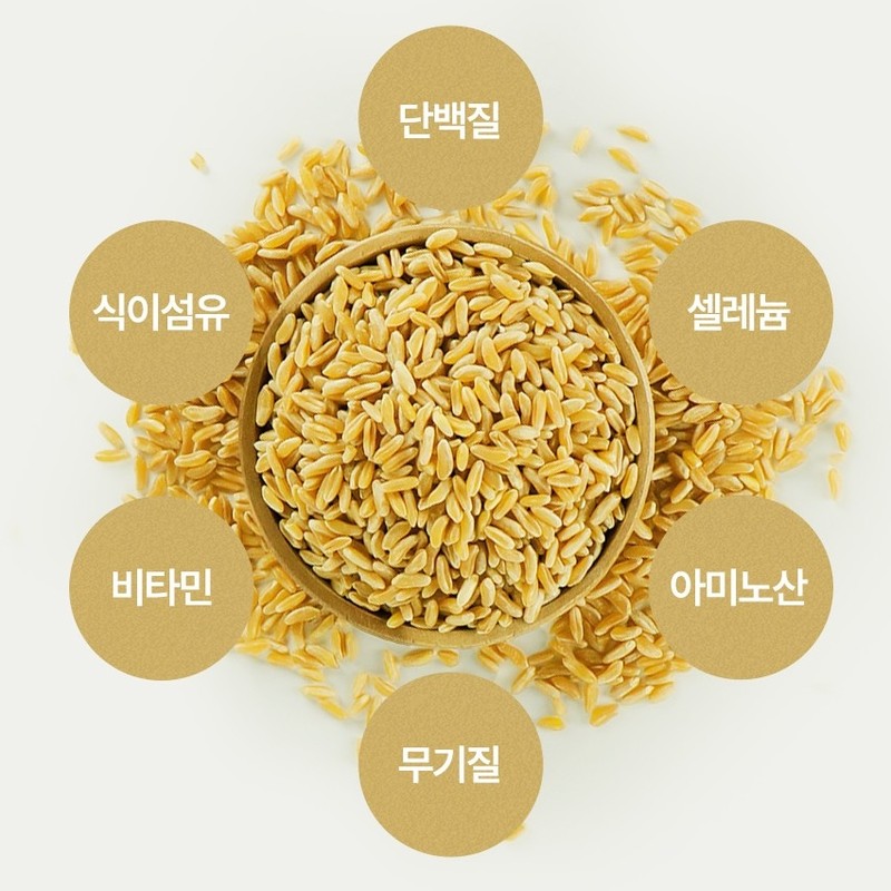 Kim So-hyung Wonbang Kamut Enzyme Kamut Kamud Khorasan Wheat Grain