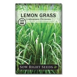 Sow Right Seeds - Lemon Grass Seed for Planting - Non-GMO Heirloom Packet with Instructions for Easy Planting and Growing an Herb Garden - Indoor or Outdoors - Delicious Culinary Herb (1)
