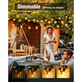 litogo 10M/30FT Festoon Lights Outdoor, Timer & Dimmable Garden Lights Mains Powered, 10+1 Shatterproof G40 Bulbs, Waterproof Outdoor String Lights for Yard Wedding Gazebo Patio Party