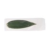 Bamboo Leaves (Boiled in Water, No Branches) / 10 Sheets