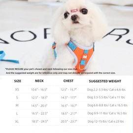 Small Dog Harness and Leash Set, Four-Point Adjustable Soft Mesh Dog Vest Harness and 1 Quickly Release Buckle, 5Ft Nylon Dog Leash with 360 Degrees Swivel Clip(Elephant L)