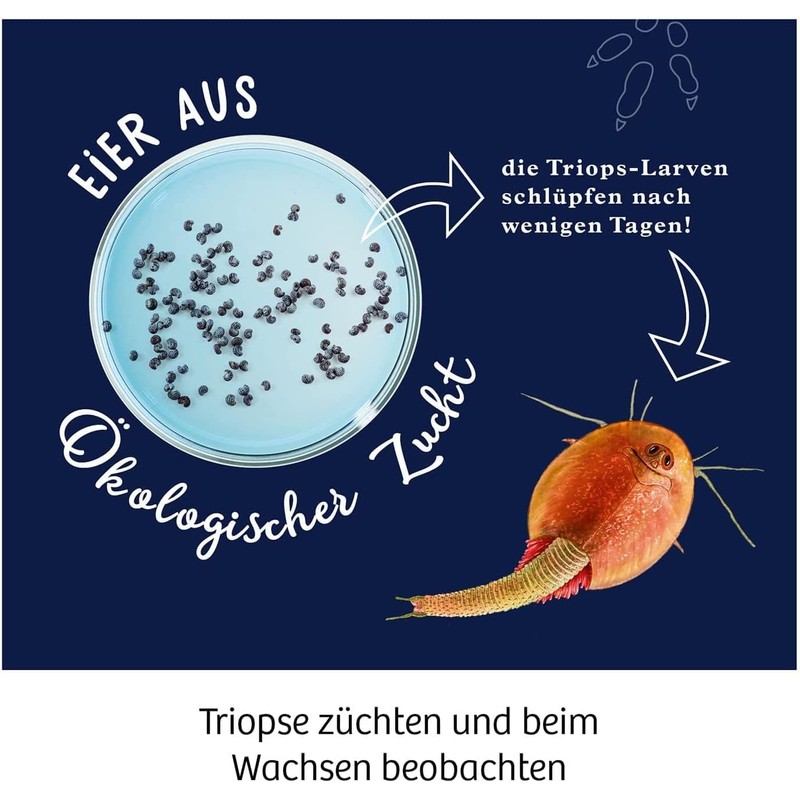 KOSMOS 637231 Fun Science - Breeding Triops, Experience Prehistoric Crabs